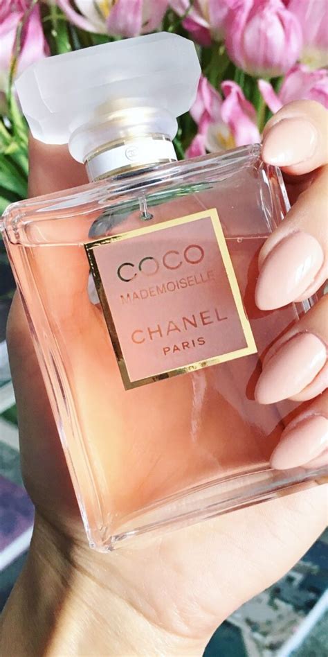 migliori profumi chanel|coco chanel perfume price list.